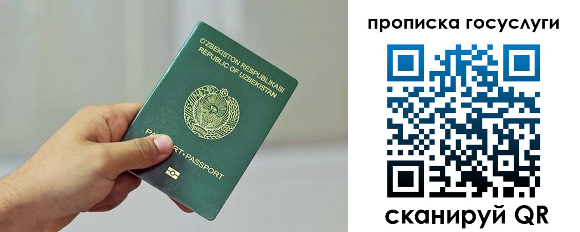 временная регистрация адрес в Чкаловске